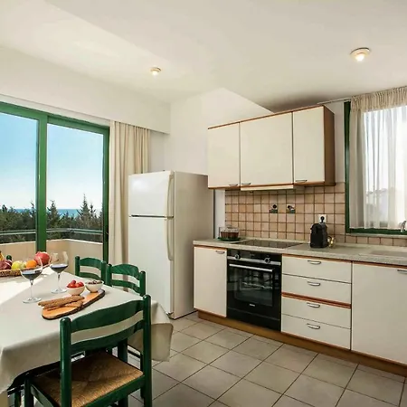 Beachfront Rhodes Seashell