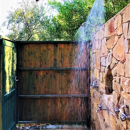 Beachfront Rhodes Seashell *