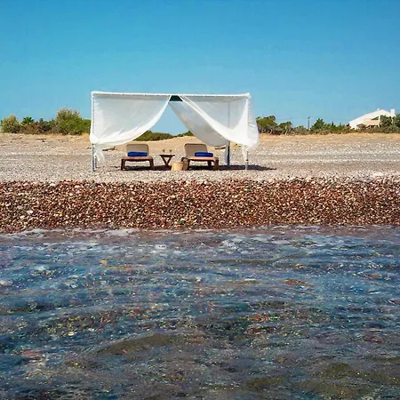 Beachfront Rhodes Seashell * Gennadi