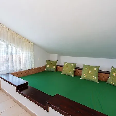 Beachfront Rhodes Seashell *