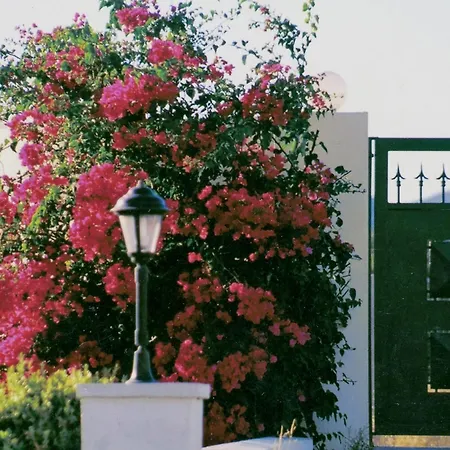 Beachfront Rhodes Seashell Holiday home Gennadi