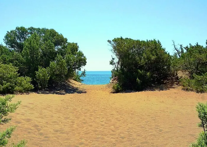 Beachfront Rhodes Seashell 펜션 *