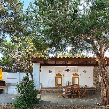 Beachfront Rhodes Seashell *