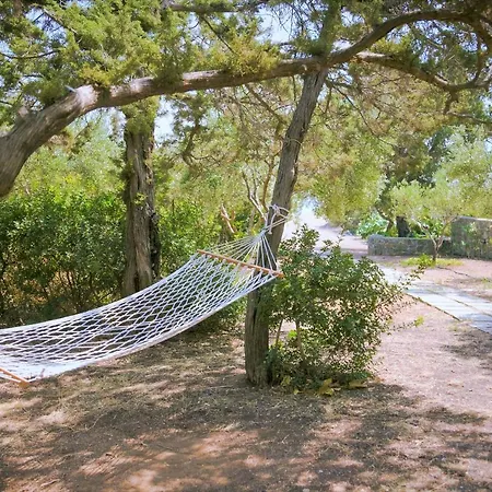 Beachfront Rhodes Seashell *