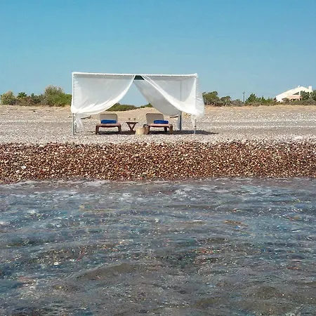 Beachfront Rhodes Seashell