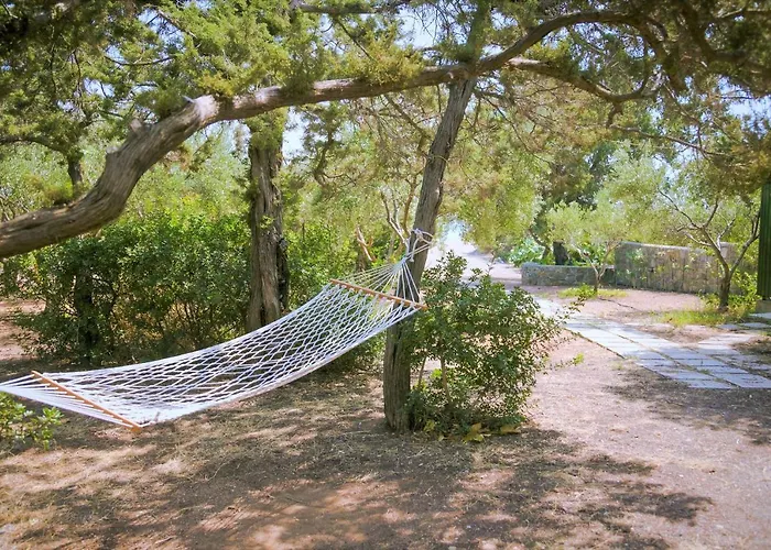 Beachfront Rhodes Seashell *