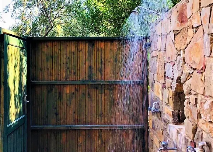 Beachfront Rhodes Seashell *