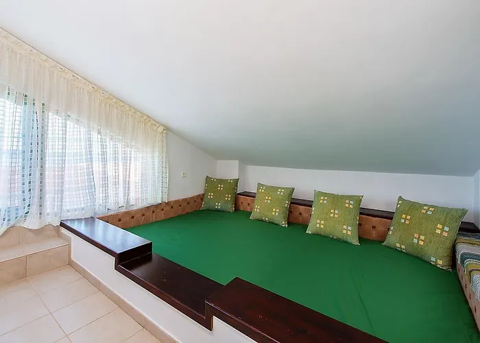 Beachfront Rhodes Seashell *